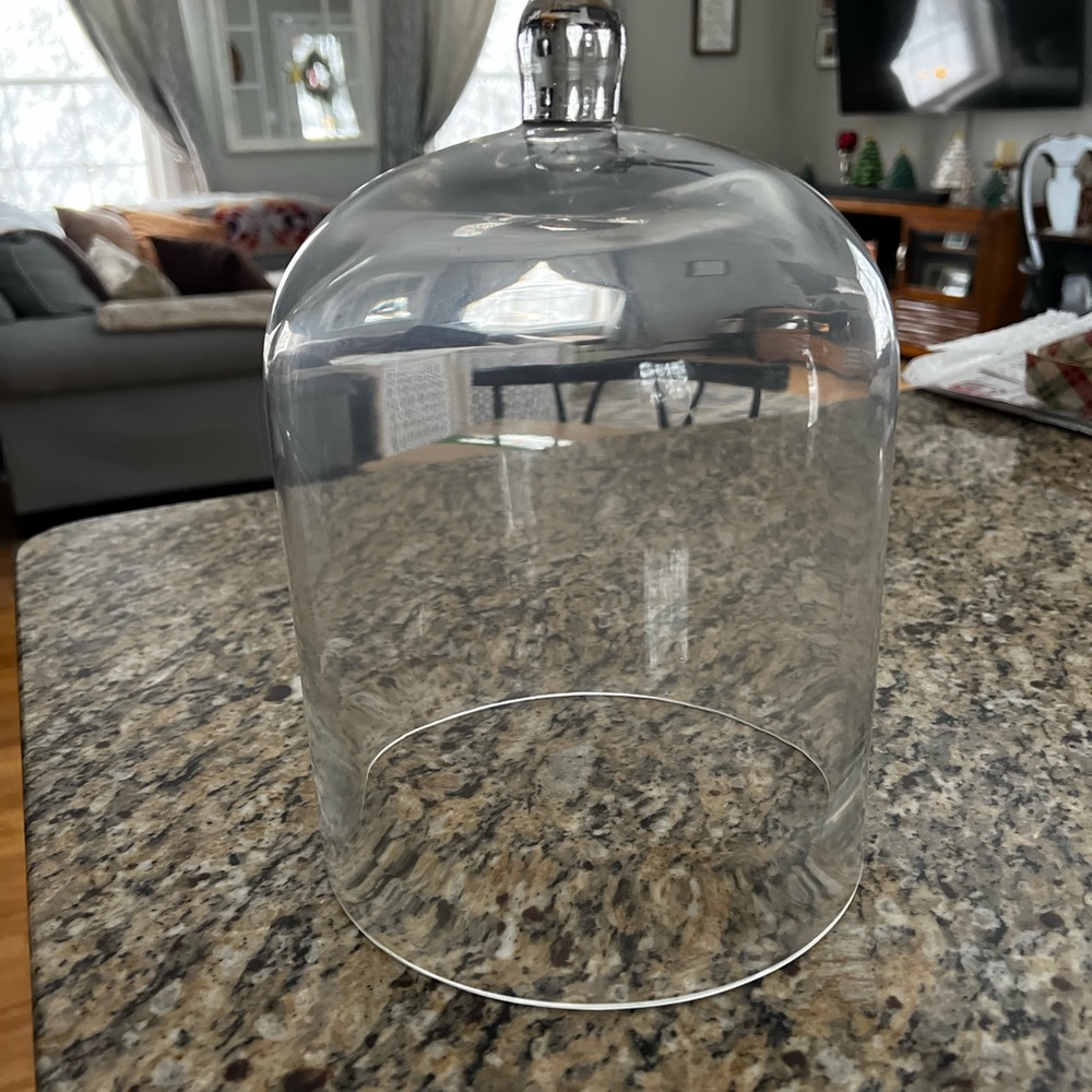 Target Clear Glass Cloche